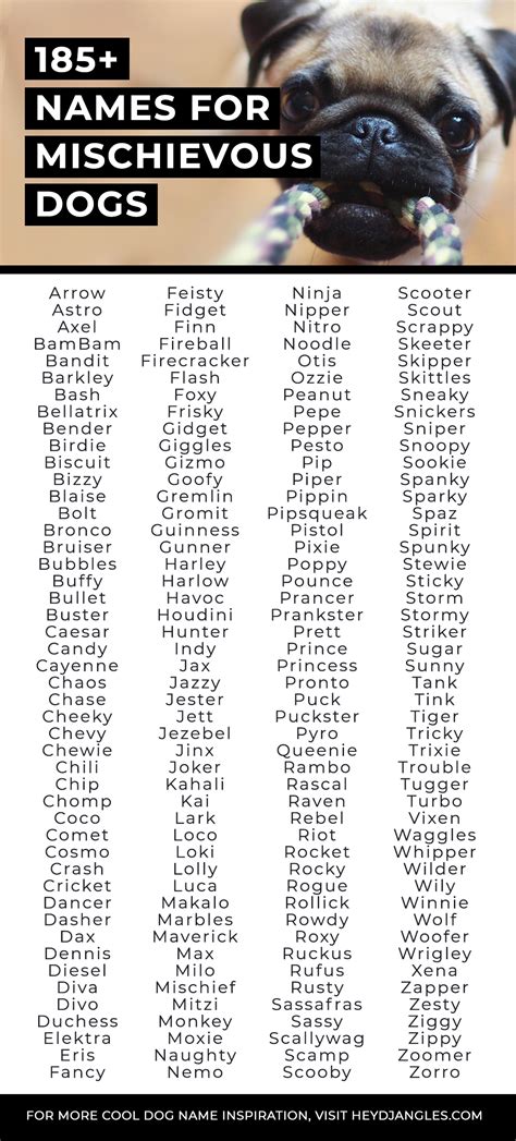 For those kids who always seem to find their way into trouble. . Mischievous dog names
